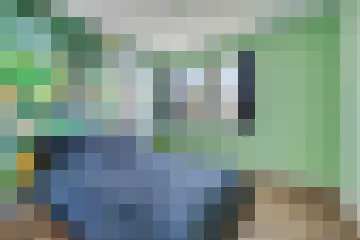 Houtwerf 9 Waarland thumbnail 27