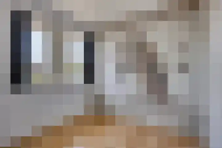 Houtwerf 9 Waarland thumbnail 30
