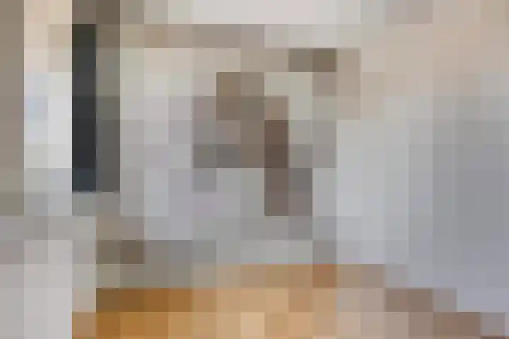 Houtwerf 9 Waarland thumbnail 31