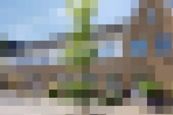 Houtwerf 9 Waarland thumbnail 5