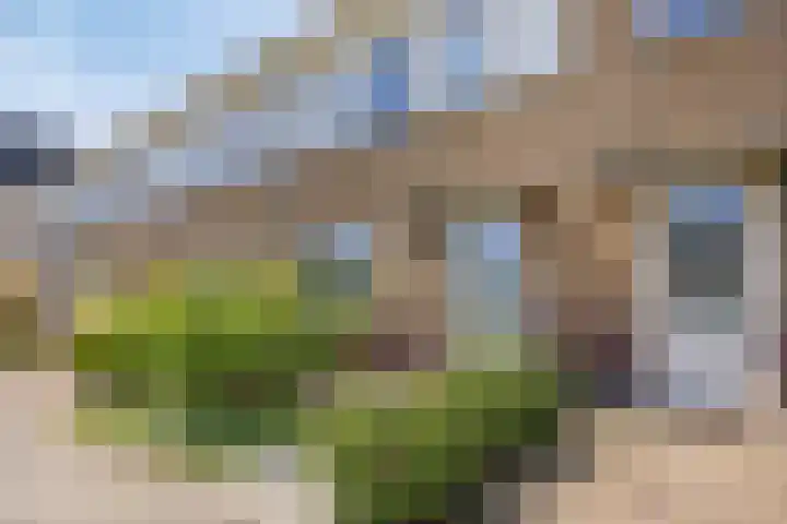 Houtwerf 9 Waarland thumbnail 9