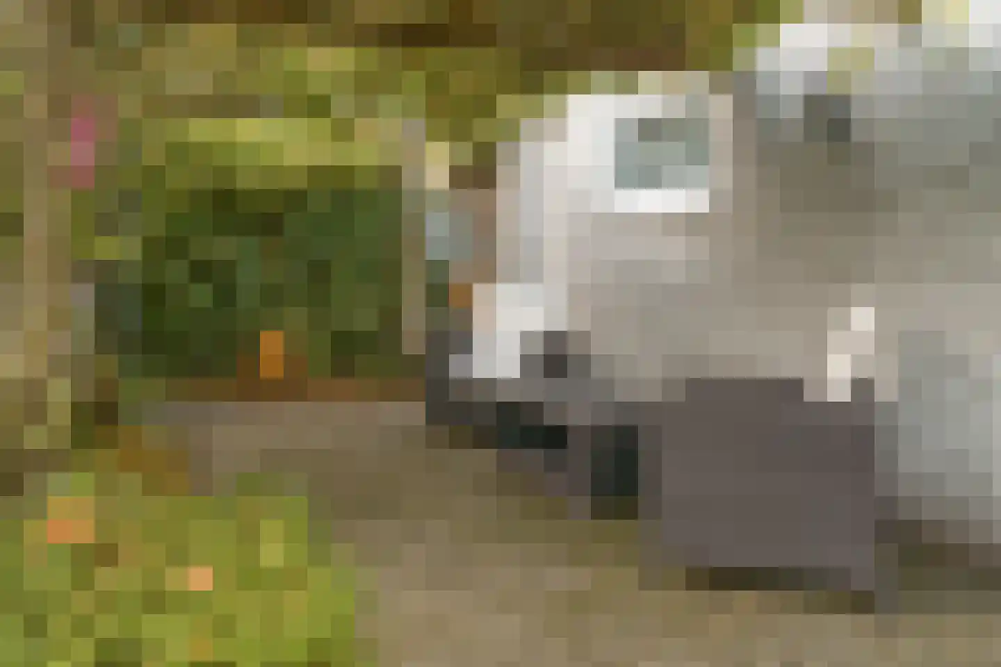 Houtwielhof 5 Amstelveen thumbnail 13