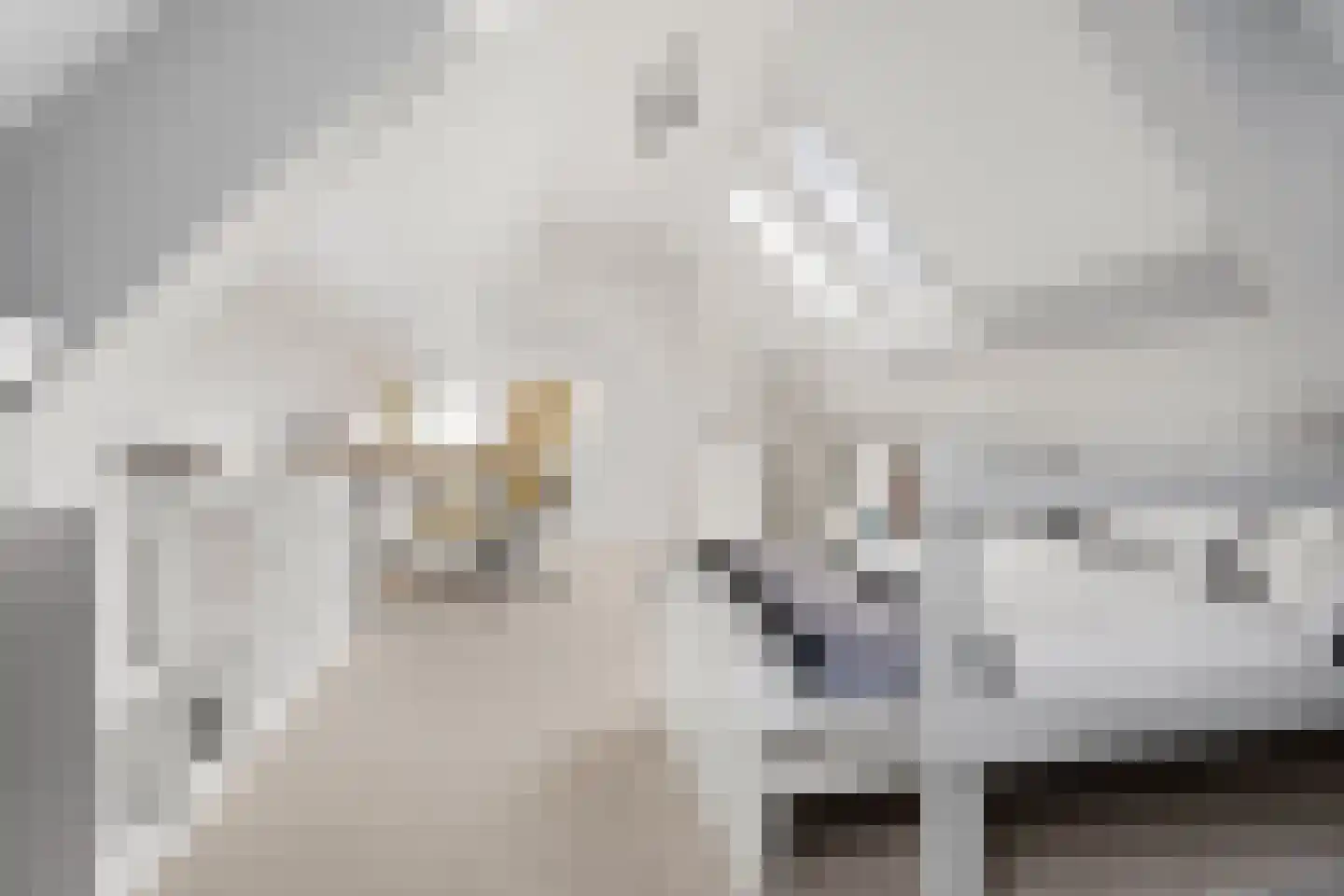Houtwielhof 5 Amstelveen thumbnail 38