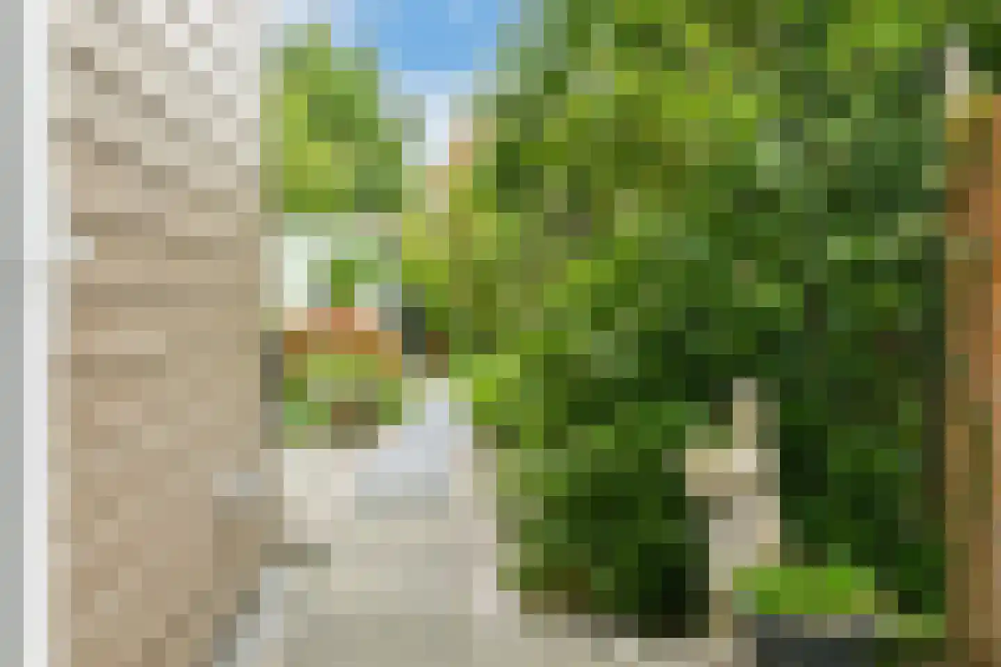 Houtwijkerveld 19 Hoofddorp thumbnail 20