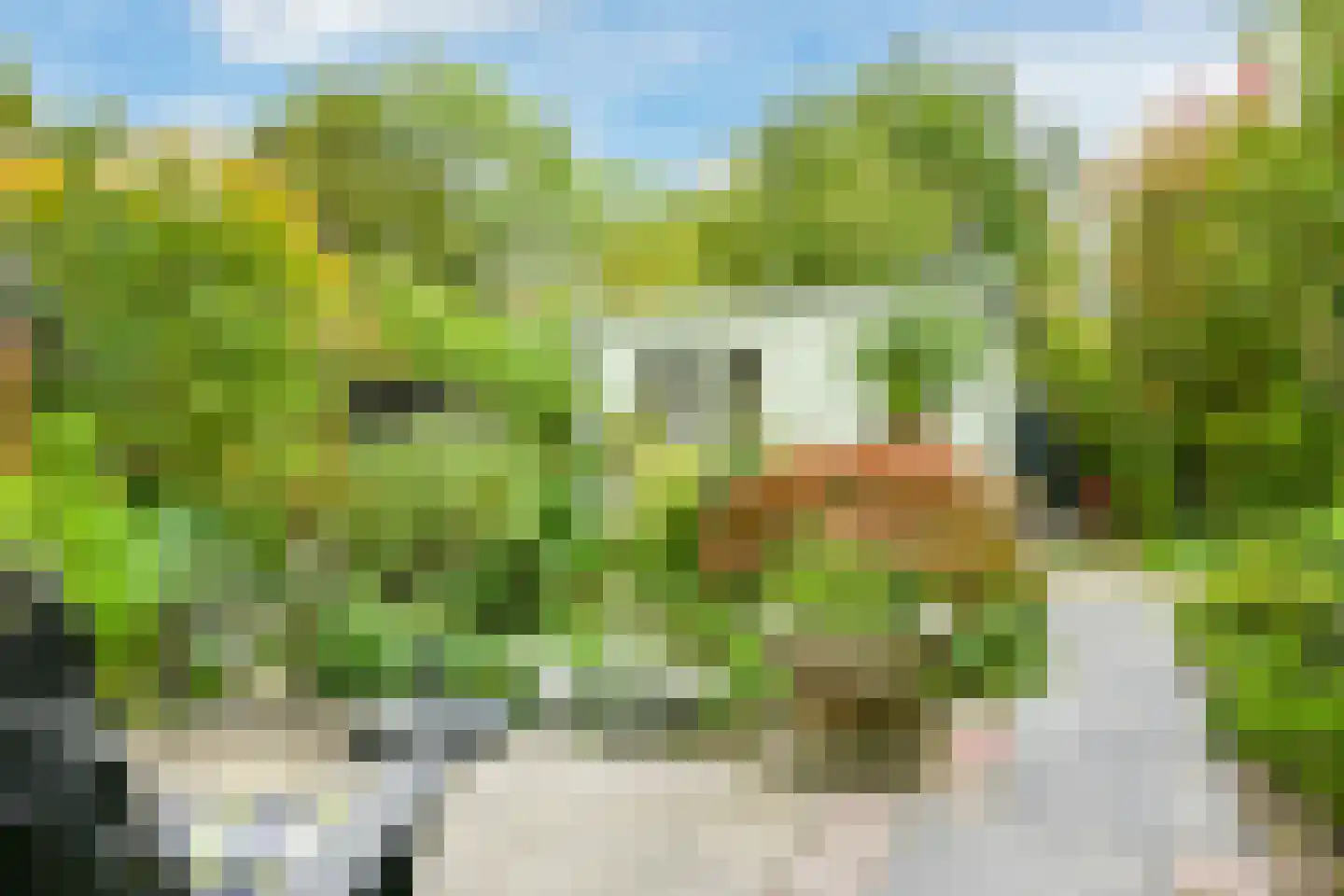 Houtwijkerveld 19 Hoofddorp thumbnail 22
