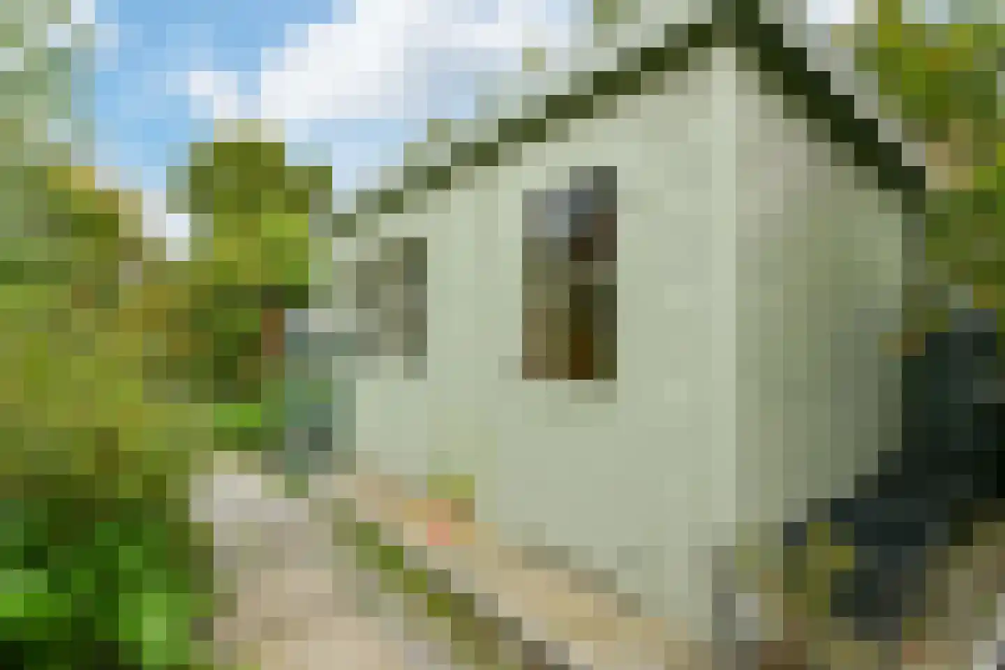 Houtwijkerveld 19 Hoofddorp thumbnail 24