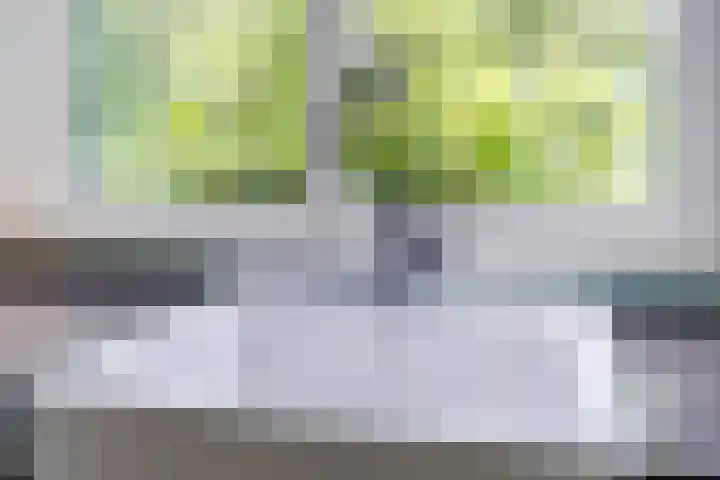 Houtwijkerveld 64 Hoofddorp thumbnail 16
