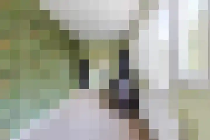 Houtwijkerveld 64 Hoofddorp thumbnail 29