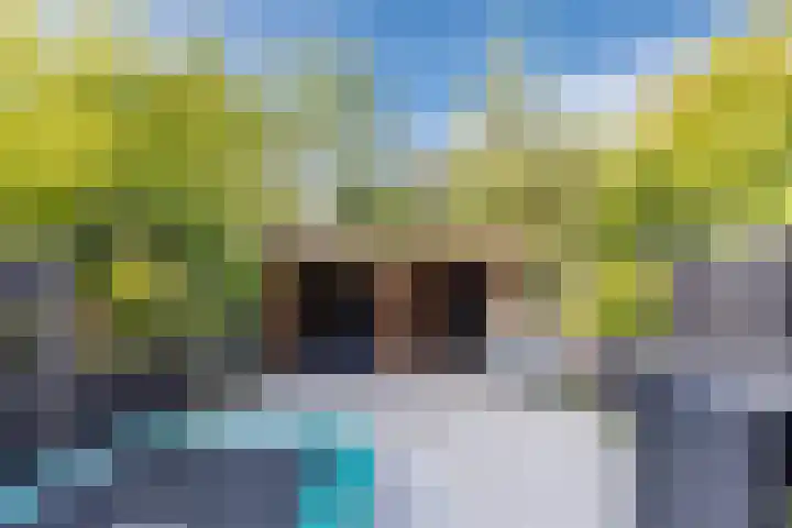 Houtwijkerveld 64 Hoofddorp thumbnail 32