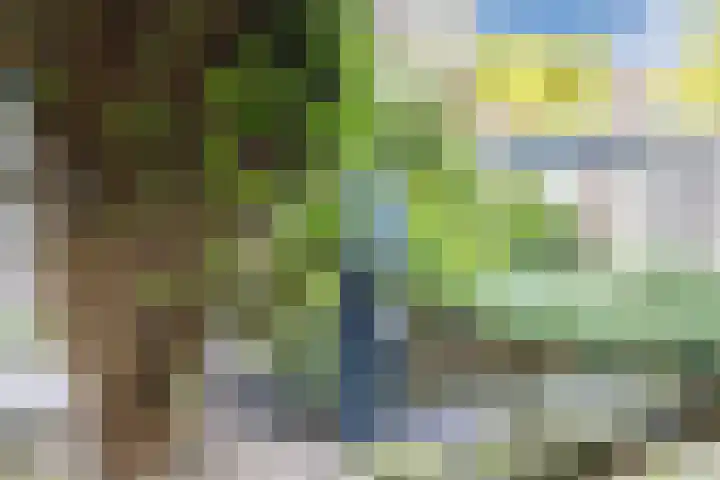 Houtwijkerveld 64 Hoofddorp thumbnail 38