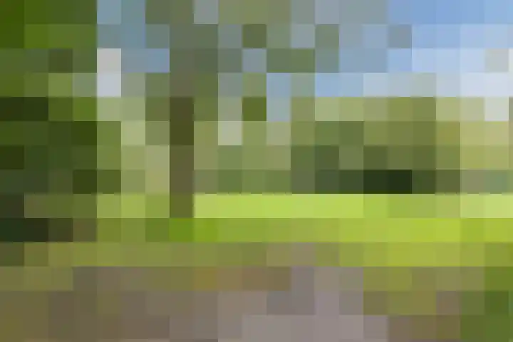 Houtwijkerveld 64 Hoofddorp thumbnail 41