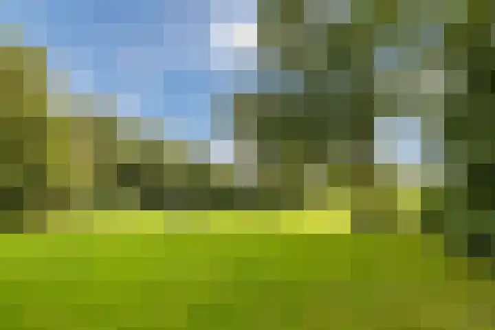 Houtwijkerveld 64 Hoofddorp thumbnail 42