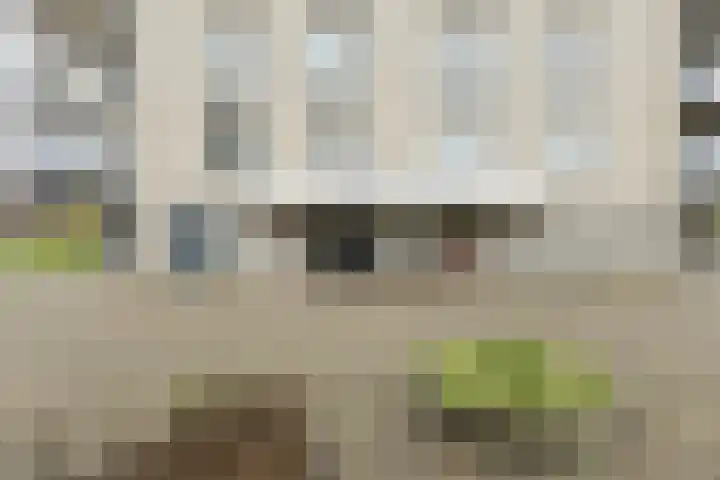 Houtwolplantsoen 258 Oosterhout thumbnail 9