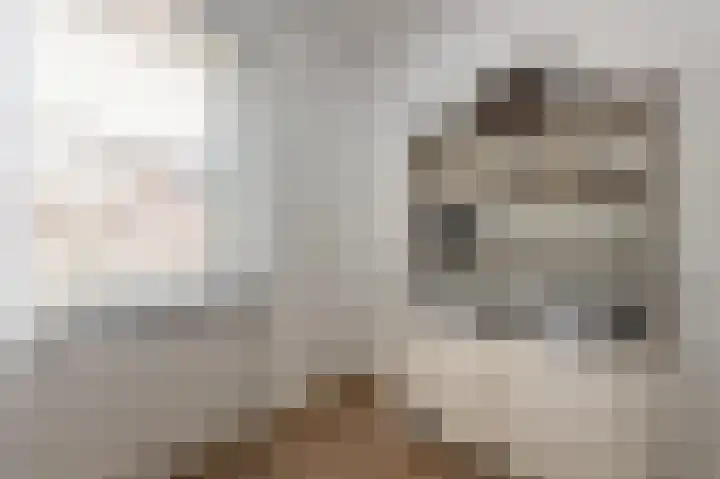 Houtwolstraat 2 Mill thumbnail 16