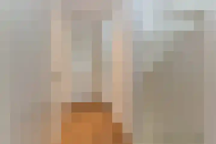 Houtwolstraat 2 Mill thumbnail 22