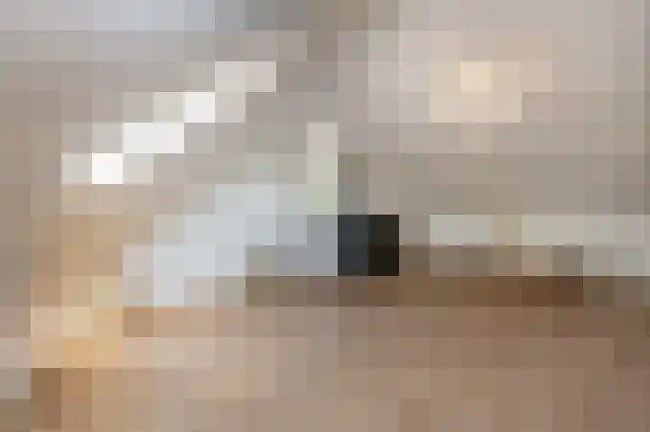 Houtwolstraat 2 Mill thumbnail 23