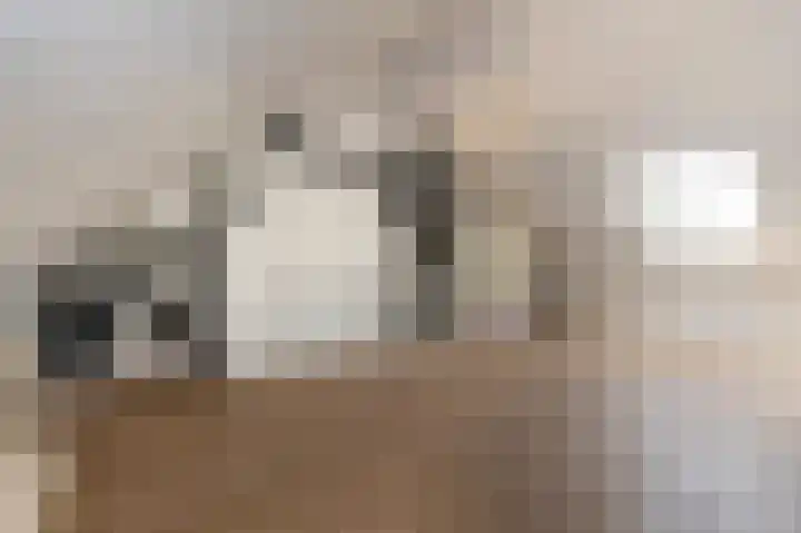 Houtwolstraat 2 Mill thumbnail 24