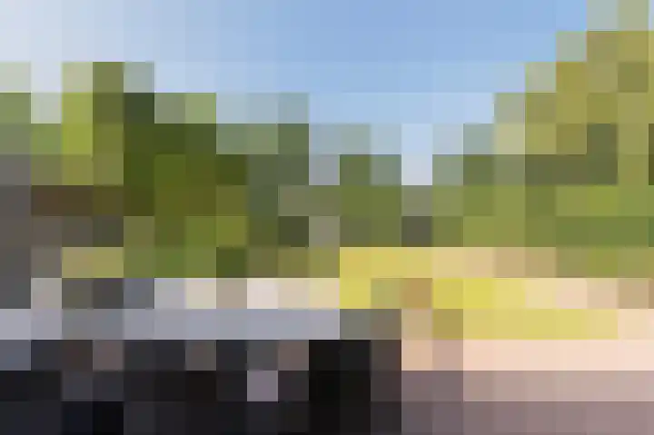 Houtwolstraat 2 Mill thumbnail 28