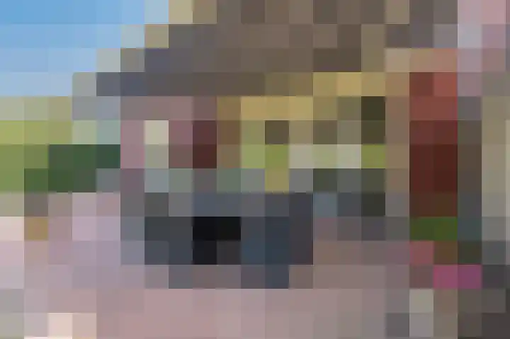 Houtwolstraat 2 Mill thumbnail 31