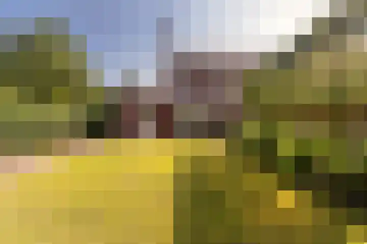 Houtwolstraat 2 Mill thumbnail 34