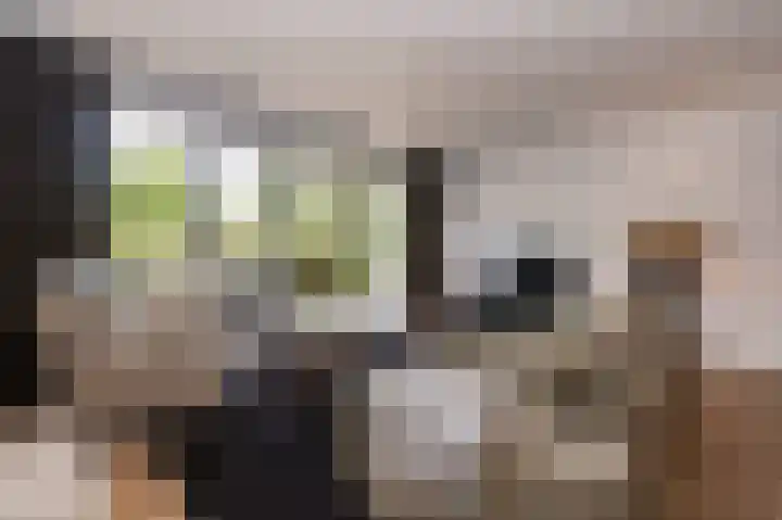 Houtwolstraat 2 Mill thumbnail 4