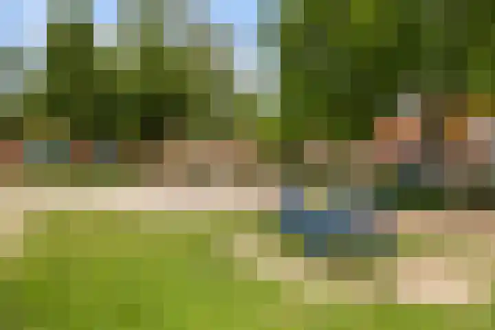 Houtwolstraat 2 Mill thumbnail 5