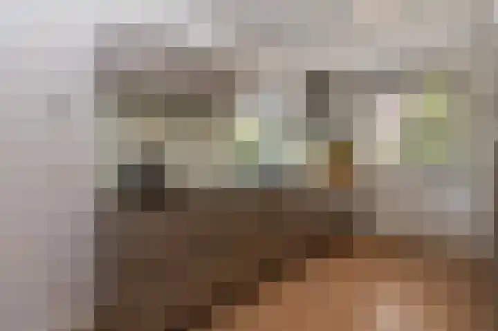 Houtwolstraat 2 Mill thumbnail 9