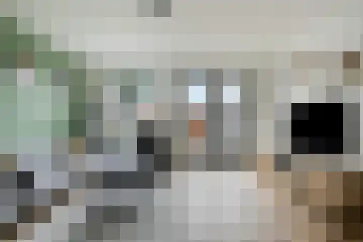 Houtwolstraat 32 Mill thumbnail 11