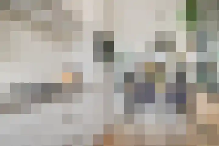 Houtwolstraat 32 Mill thumbnail 17