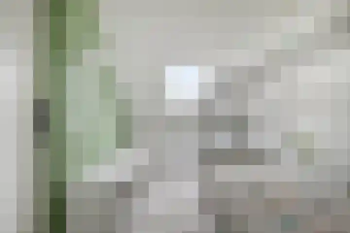 Houtwolstraat 32 Mill thumbnail 28