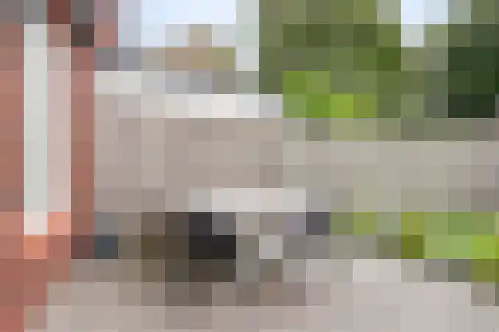 Houtwolstraat 32 Mill thumbnail 33
