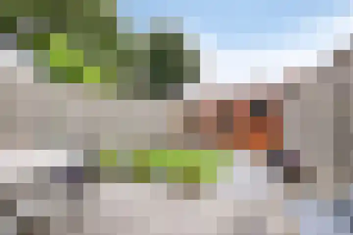 Houtwolstraat 32 Mill thumbnail 34