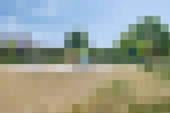 Houtwolstraat 9 Mill thumbnail 29