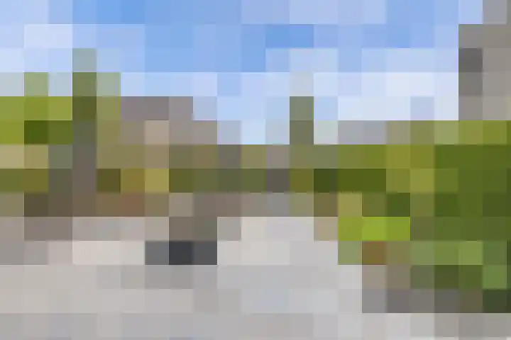 Houtzaagmolen 10 Drachten thumbnail 39