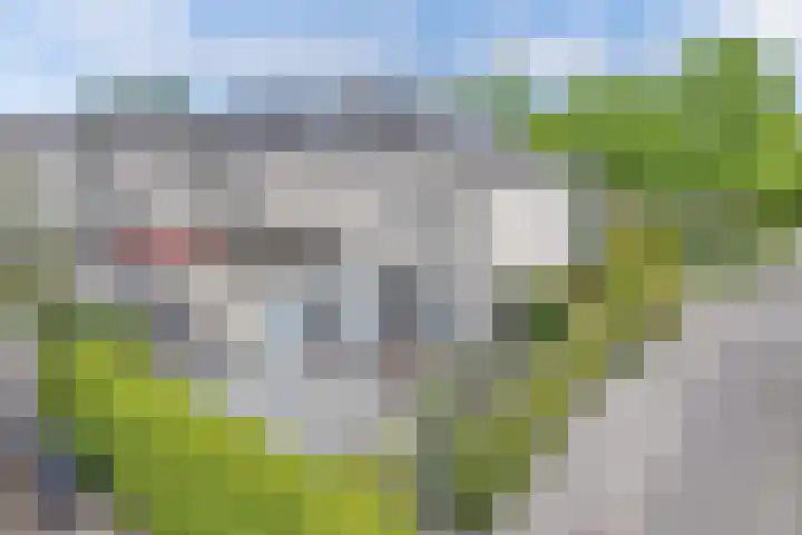 Houtzaagmolen 10 Drachten thumbnail 4