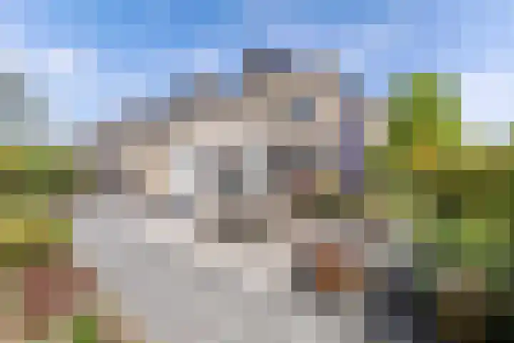 Houtzaagmolen 10 Drachten thumbnail 41