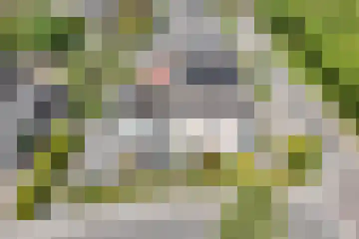 Houtzaagmolen 10 Drachten thumbnail 5