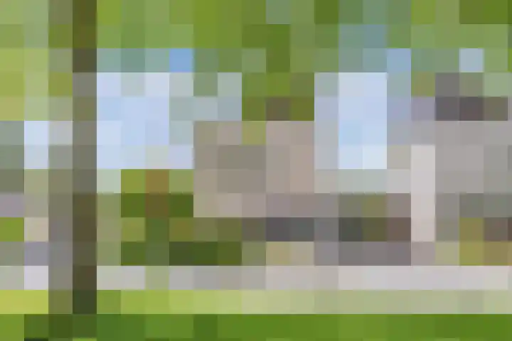 Houtzaagmolen 10 Drachten thumbnail 6