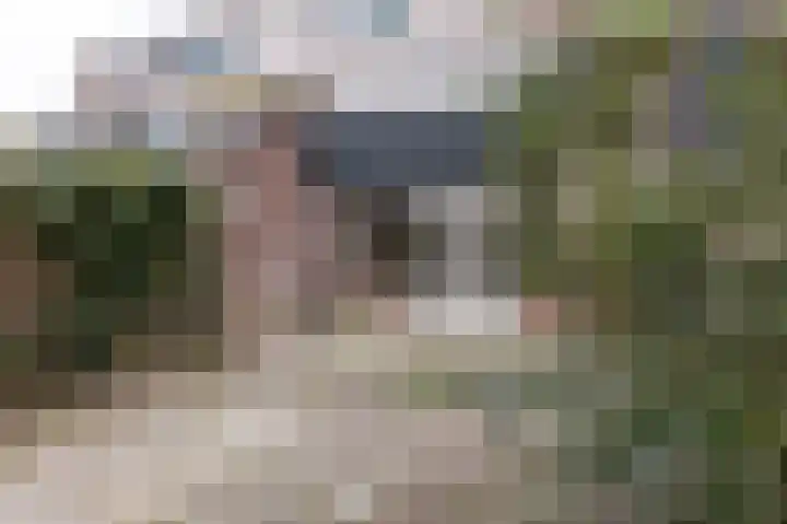Houtzaagmolen 100 Hoorn thumbnail 24