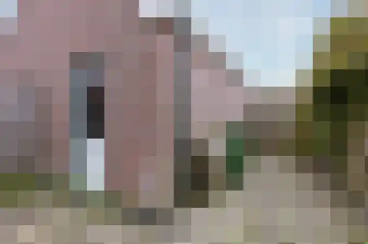 Houtzaagmolen 100 Hoorn thumbnail 26
