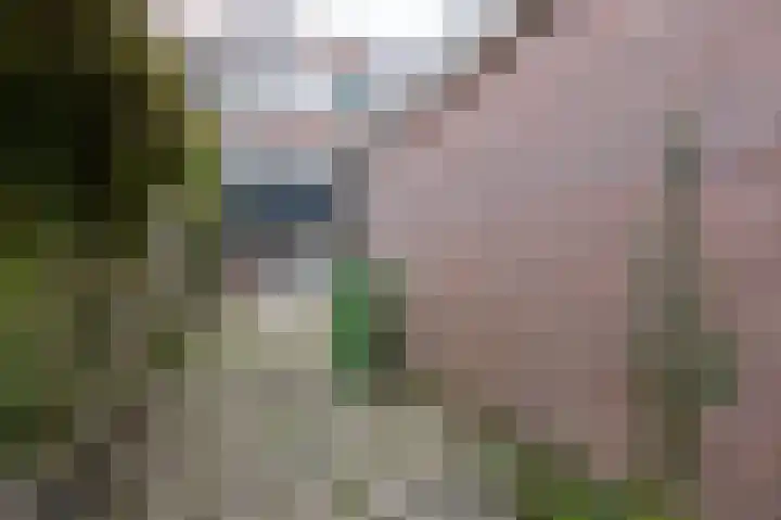 Houtzaagmolen 100 Hoorn thumbnail 29