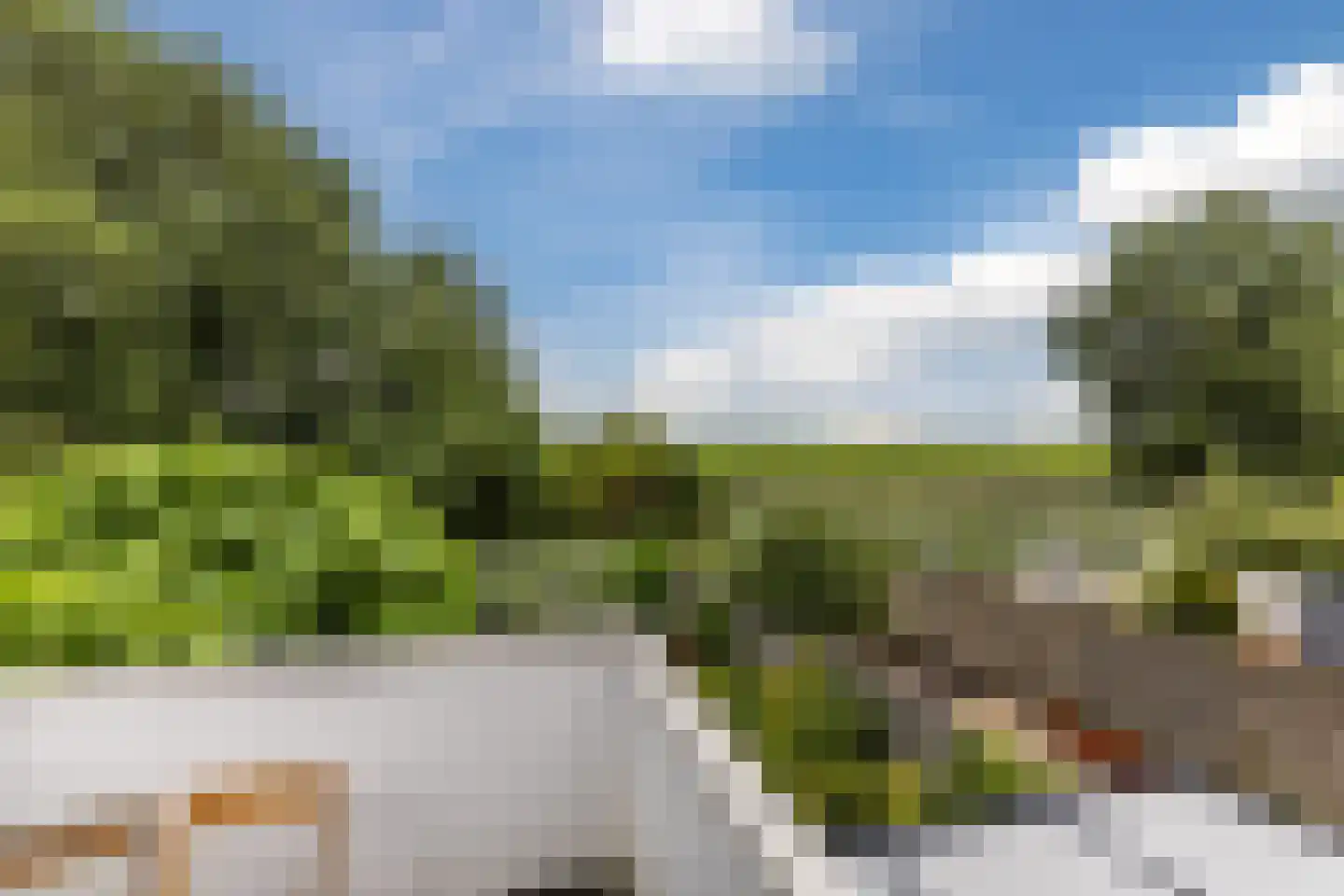 Houtzaagmolen 132 Hoorn thumbnail 19
