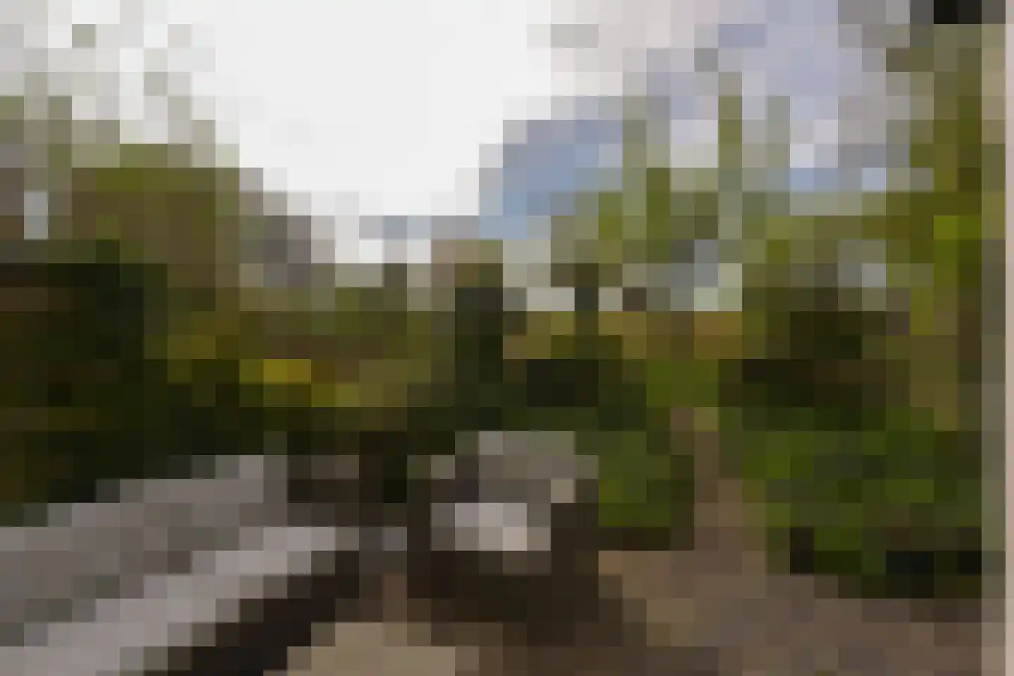 Houtzaagmolen 142 Hoorn thumbnail 12
