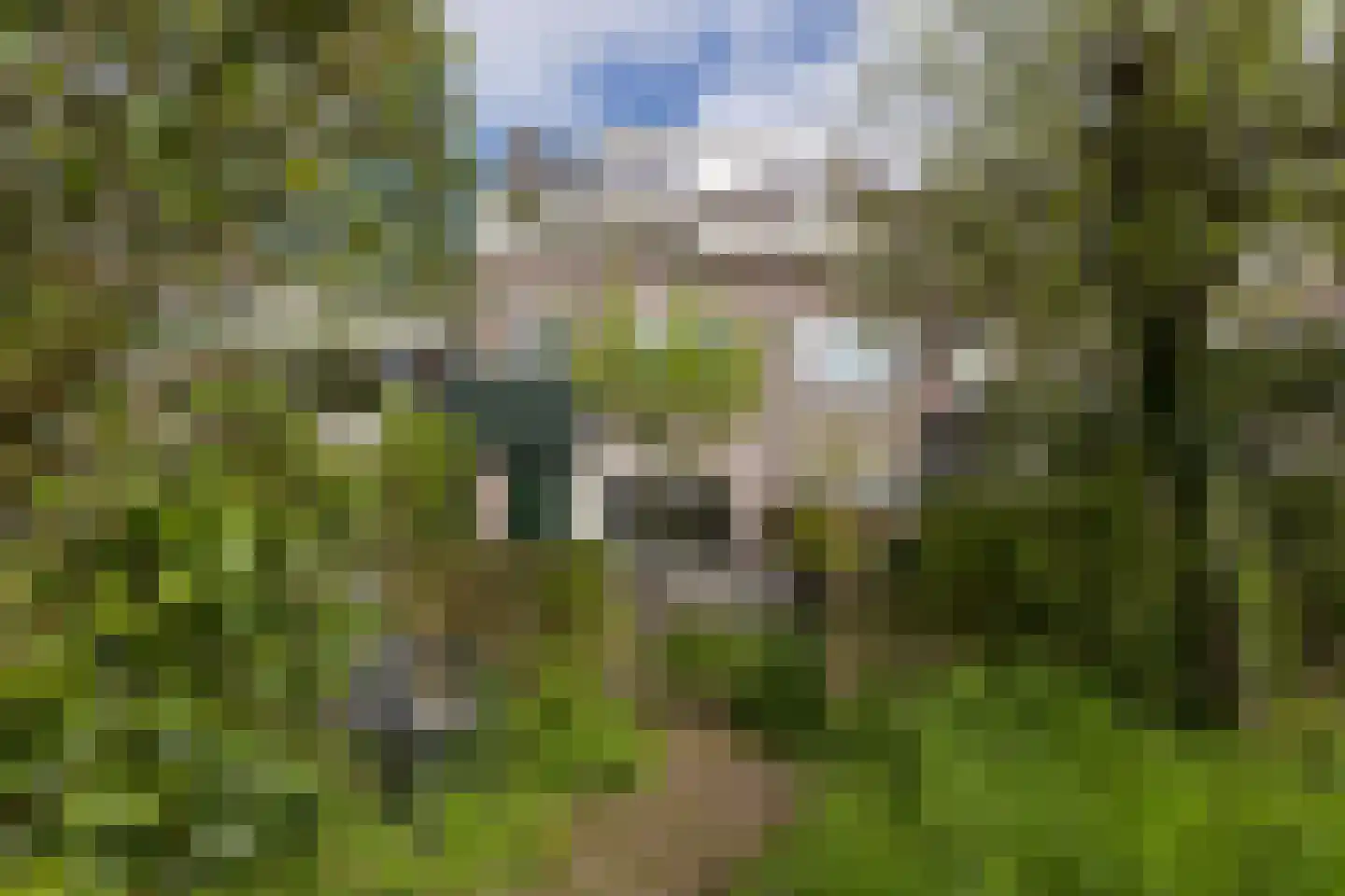 Houtzaagmolen 142 Hoorn thumbnail 13