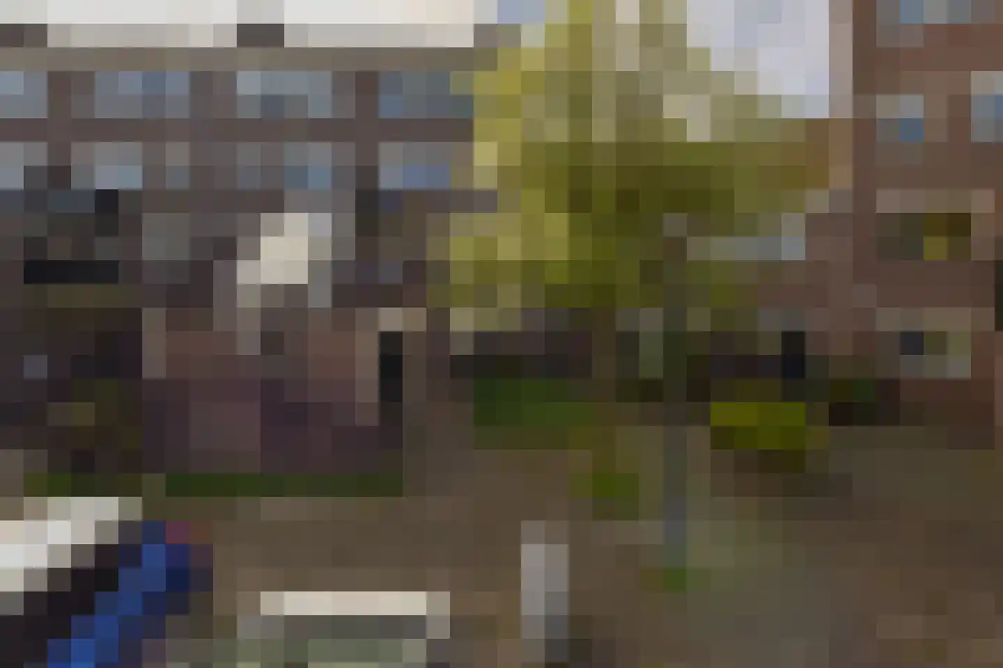 Houtzaagmolen 142 Hoorn thumbnail 26