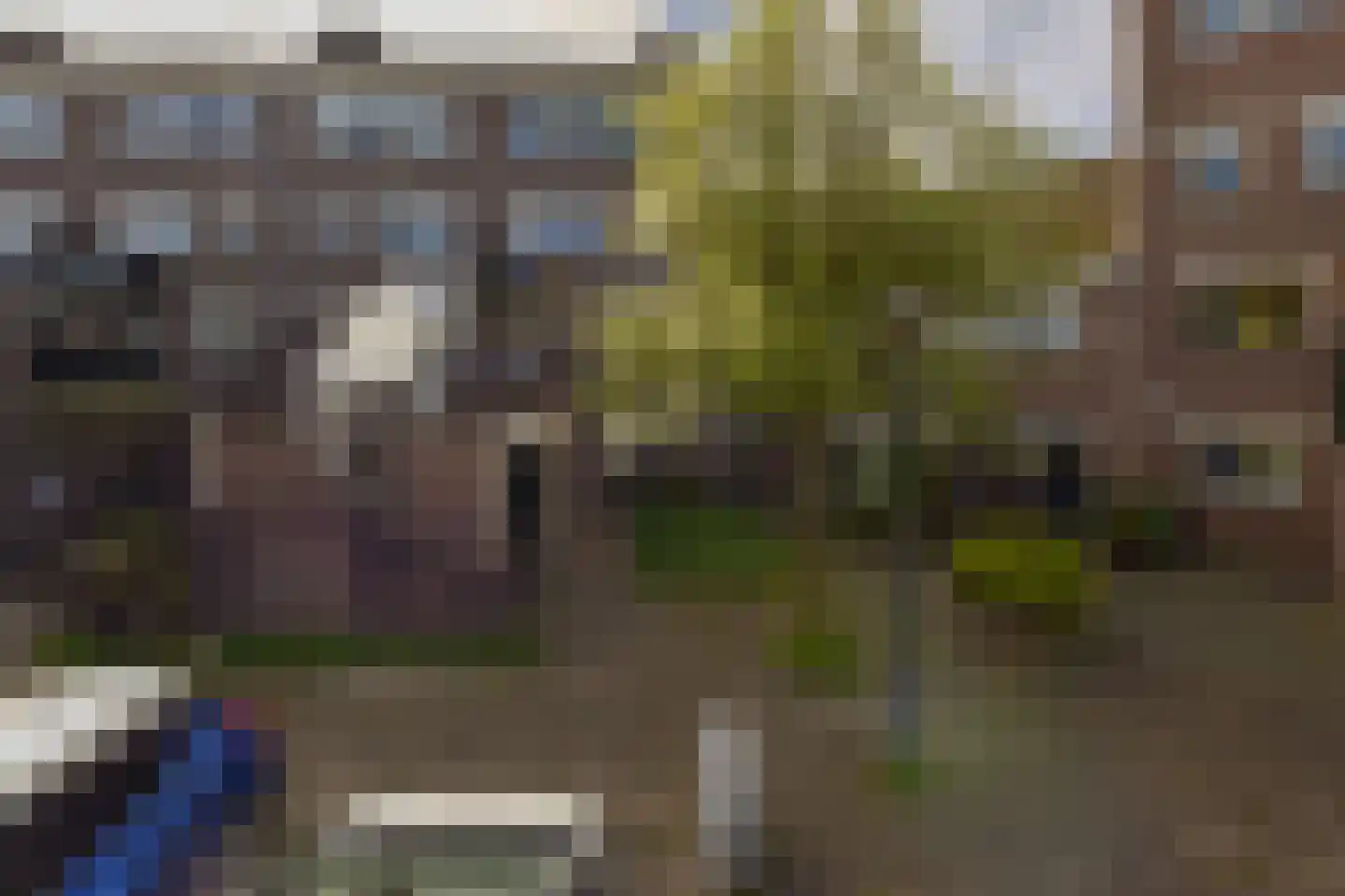 Houtzaagmolen 142 Hoorn thumbnail 26