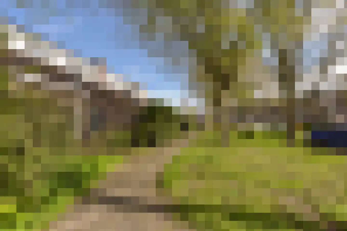 Houtzaagmolen 142 Hoorn thumbnail 27