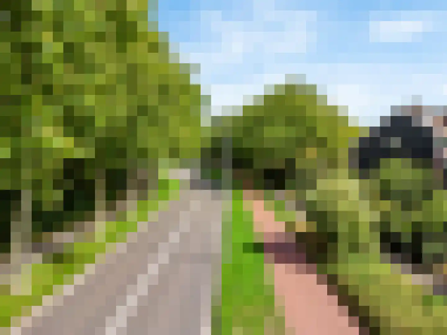 Houtzaagmolen 15 Hoorn thumbnail 12