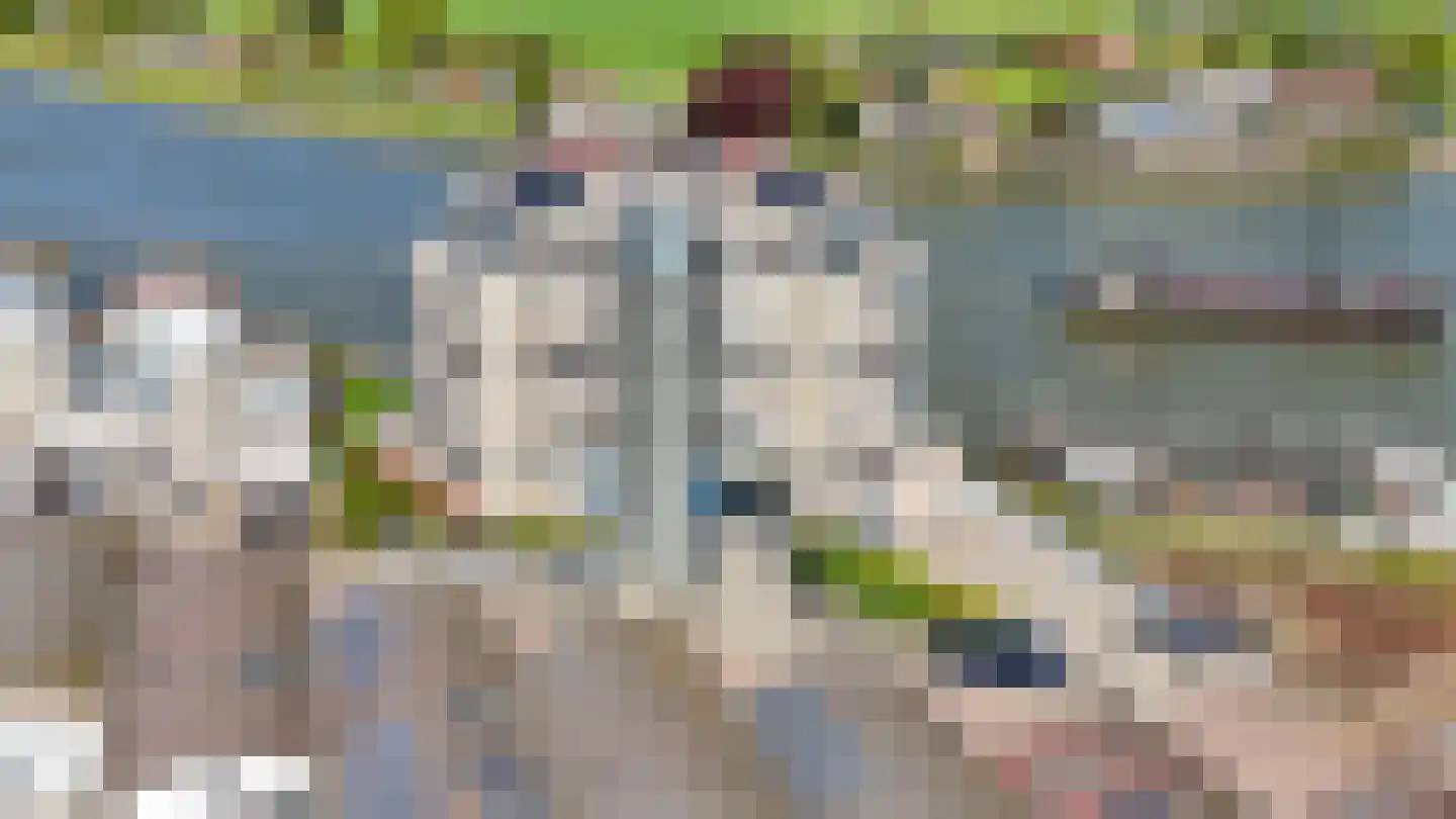Houtzaagmolen 16 Ouderkerk aan den IJssel thumbnail 36