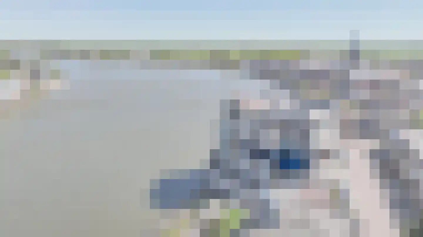 Houtzaagmolen 16 Ouderkerk aan den IJssel thumbnail 47